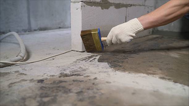 24/7 Emergency Wet Basement Repair experts in Andale, KS
